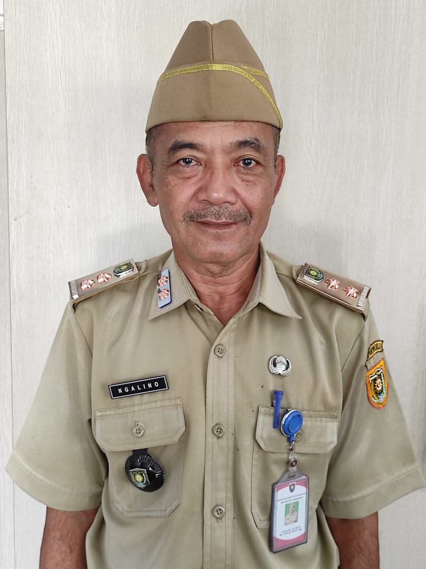 NGALINO, S.I.P., M.A.P.